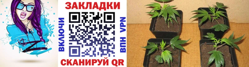 АМФЕТАМИН Яхрома