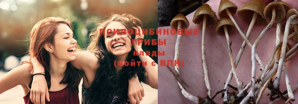 а пвп мука Балахна