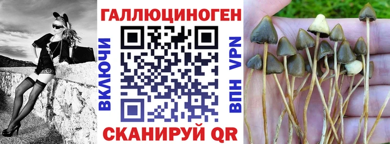 KRAKEN ТОР  Яхрома  Галлюциногенные грибы Magic Shrooms  что такое  